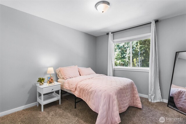 20610 84th Avenue Ct E, Spanaway, WA 98387 - photo 15