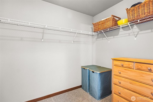20610 84th Avenue Ct E, Spanaway, WA 98387 - photo 28