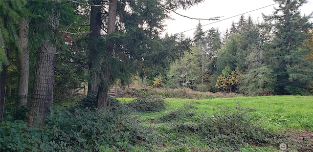 228XX 178th Ave SE, Kent, WA 98042 - photo 4