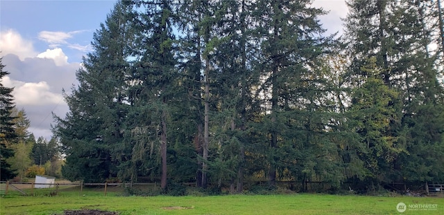 228XX 178th Ave SE, Kent, WA 98042 - photo 10
