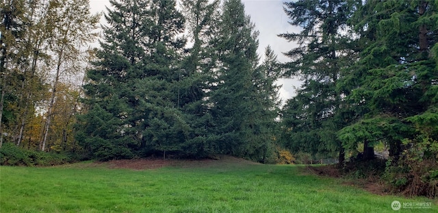 228XX 178th Ave SE, Kent, WA 98042 - photo 28