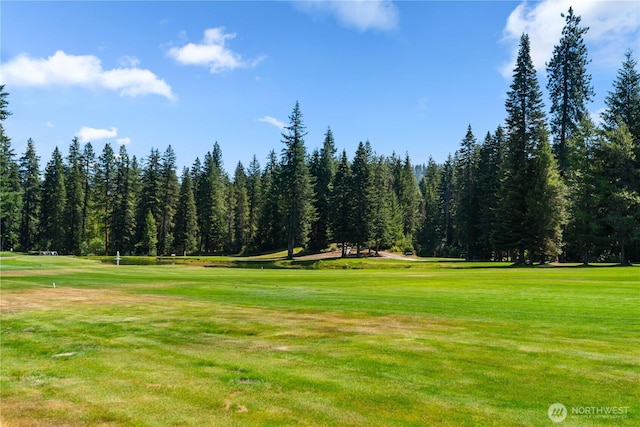 20795 Kahler Dr Unit D1, Leavenworth, WA 98826 - photo 22