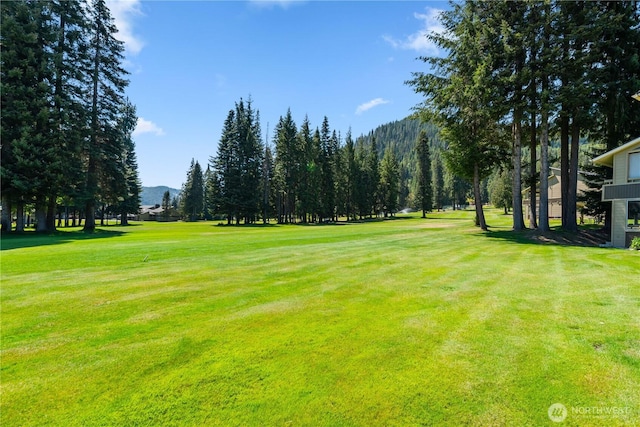 20795 Kahler Dr Unit D1, Leavenworth, WA 98826 - photo 23