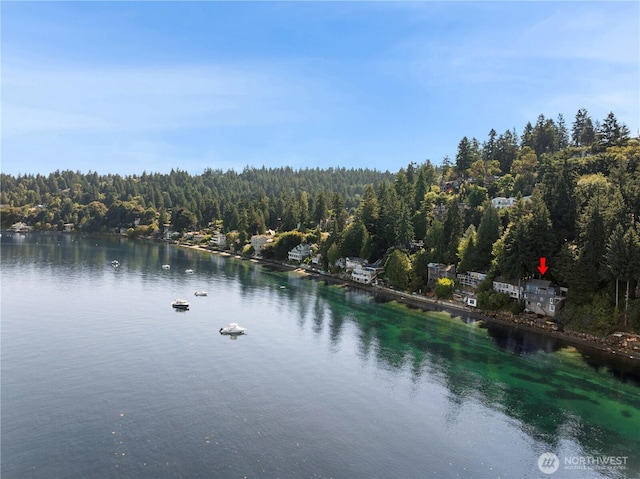 16611 Maplewild Ave SW, Burien, WA 98166 - photo 3