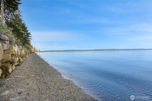 16611 Maplewild Ave SW, Burien, WA 98166 - photo 37