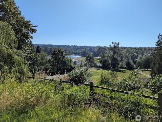 11810 Nevers Rd, Snohomish, WA 98290 - photo 1