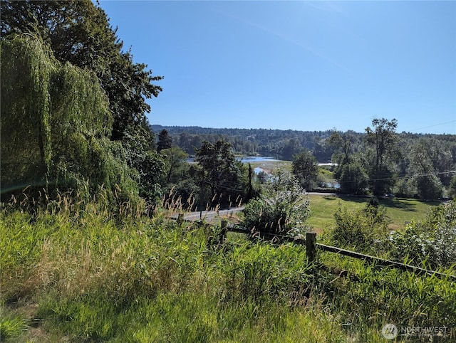 11810 Nevers Rd, Snohomish, WA 98290 - photo 19