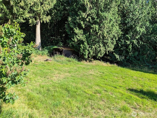 11810 Nevers Rd, Snohomish, WA 98290 - photo 24
