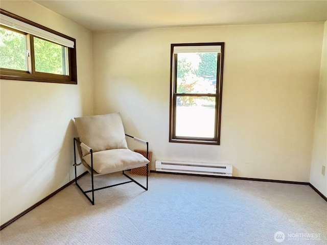 16718 SE 40th Pl, Bellevue, WA 98008 - photo 24