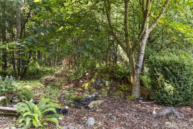 3840 NE Iverson Rd, Poulsbo, WA 98370 - photo 27