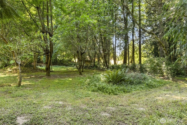 3840 NE Iverson Rd, Poulsbo, WA 98370 - photo 28