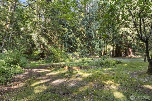 3840 NE Iverson Rd, Poulsbo, WA 98370 - photo 29
