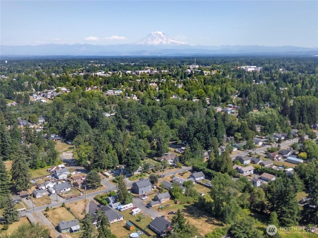 9306 E D St, Tacoma, WA 98445 - photo 17