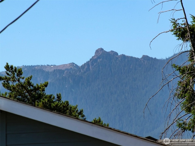 9999 W 5th St, Port Angeles, WA 98363 - photo 18