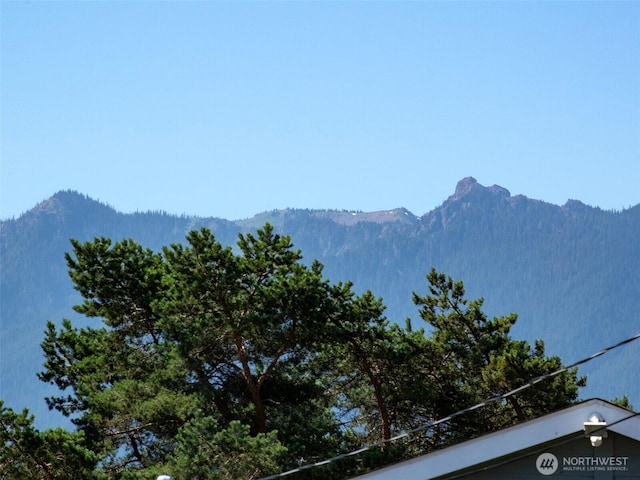 9999 W 5th St, Port Angeles, WA 98363 - photo 22