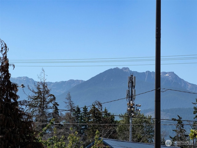 9999 W 5th St, Port Angeles, WA 98363 - photo 23
