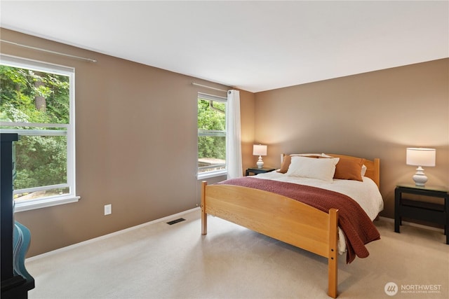 3219 Heights Pl, Bellingham, WA 98226 - photo 10