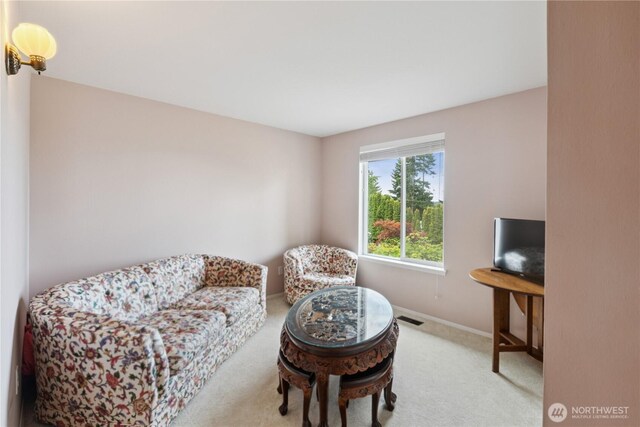 3219 Heights Pl, Bellingham, WA 98226 - photo 14