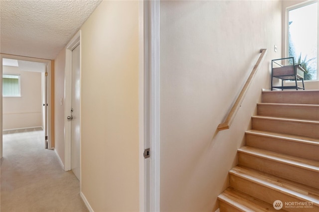 3219 Heights Pl, Bellingham, WA 98226 - photo 16
