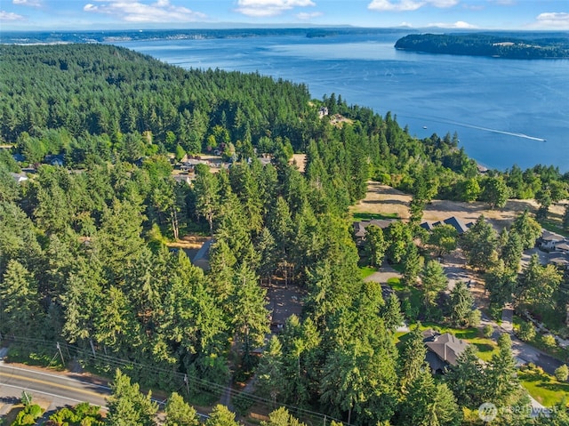 760 Island Blvd, Fox Island, WA 98333 - photo 39
