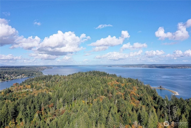 5 Cornwall Rd SW, Lakebay, WA 98349 - photo 9