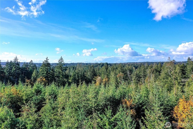 5 Cornwall Rd SW, Lakebay, WA 98349 - photo 1