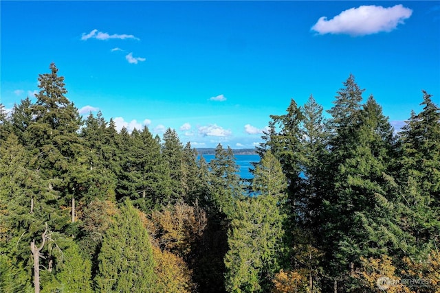 5 Cornwall Rd SW, Lakebay, WA 98349 - photo 7
