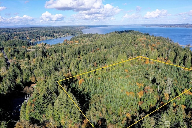 5 Cornwall Rd SW, Lakebay, WA 98349 - photo 20