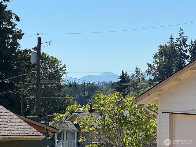 1031 W Spruce St, Port Angeles, WA 98363 - photo 7