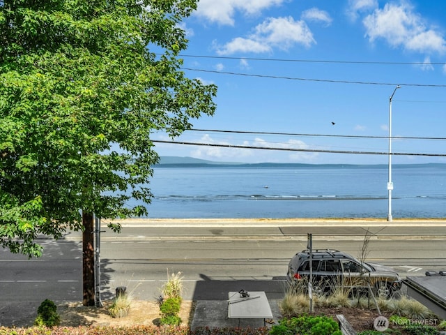 1710 Alki Ave SW, Seattle, WA 98116 - photo 30