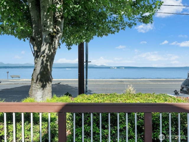 1710 Alki Ave SW, Seattle, WA 98116 - photo 31