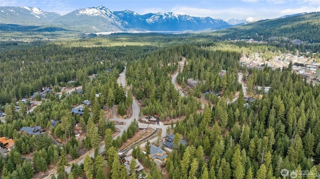 2 Red Sky Way, Cle Elum, WA 98922 - photo 5
