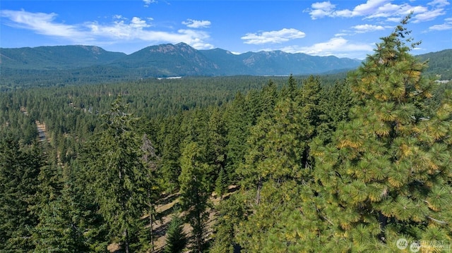 2 Red Sky Way, Cle Elum, WA 98922 - photo 3