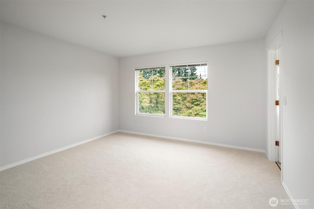 8510 Main St Unit A104, Edmonds, WA 98026 - photo 22