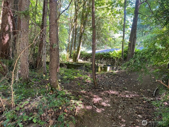 4502 Ridgewood Ct NW, Olympia, WA 98502 - photo 8