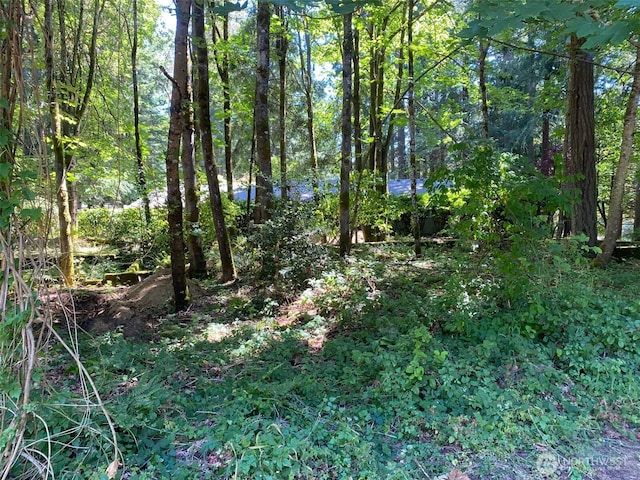 4502 Ridgewood Ct NW, Olympia, WA 98502 - photo 2