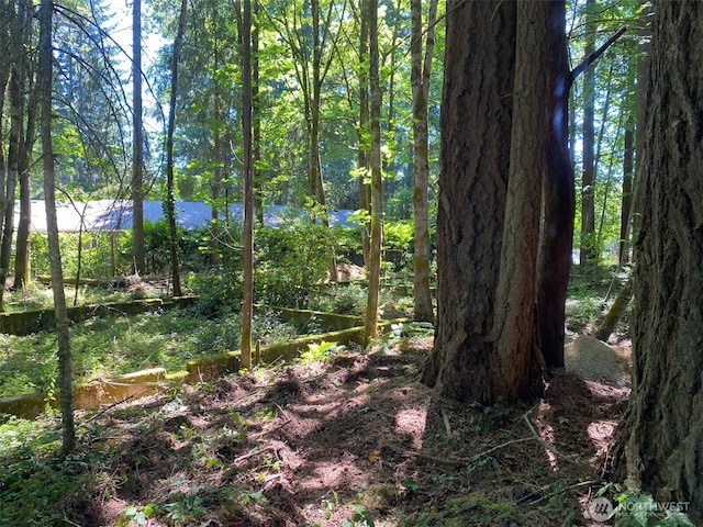 4502 Ridgewood Ct NW, Olympia, WA 98502 - photo 3
