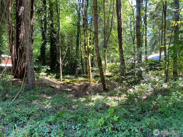 4502 Ridgewood Ct NW, Olympia, WA 98502 - photo 5