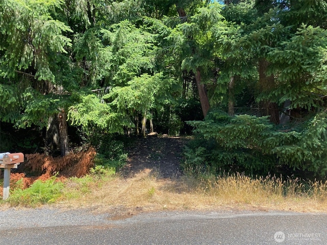 4502 Ridgewood Ct NW, Olympia, WA 98502 - photo 6