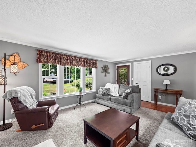 10416 50th Ave E, Tacoma, WA 98446 - photo 6