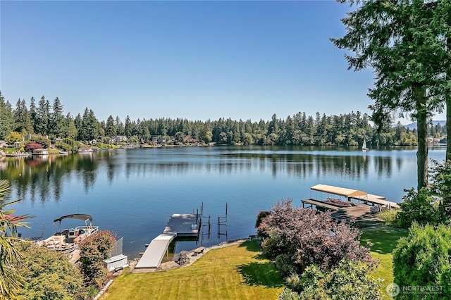22030 SE 295th Pl, Black Diamond, WA 98010 - photo 12