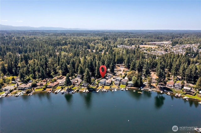 22030 SE 295th Pl, Black Diamond, WA 98010 - photo 26