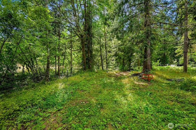 7417 Woodshire Rd, Maple Falls, WA 98266 - photo 28