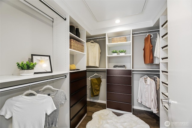 2010 NW 60th St Unit F, Seattle, WA 98107 - photo 13