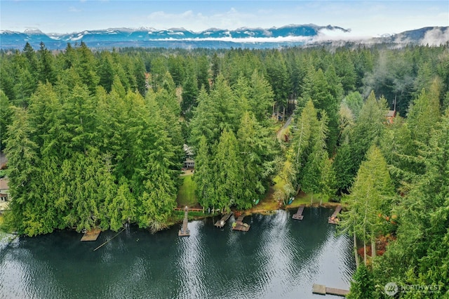 25432 SE 28th St, Sammamish, WA 98075 - photo 4