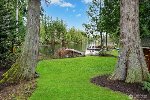 25432 SE 28th St, Sammamish, WA 98075 - photo 17