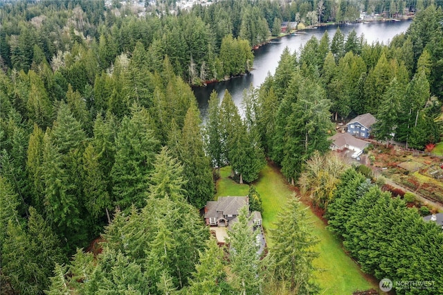 25432 SE 28th St, Sammamish, WA 98075 - photo 5