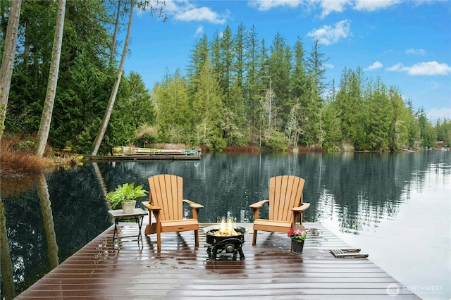 25432 SE 28th St, Sammamish, WA 98075 - photo 38