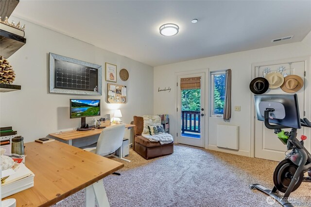 44806 SE 161st Pl, North Bend, WA 98045 - photo 24