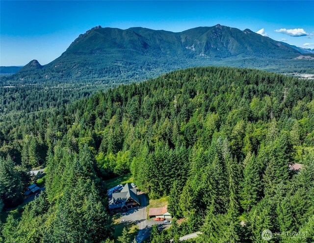 44806 SE 161st Pl, North Bend, WA 98045 - photo 38